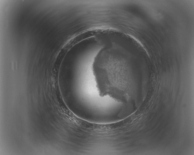 X0000083650823200702121147