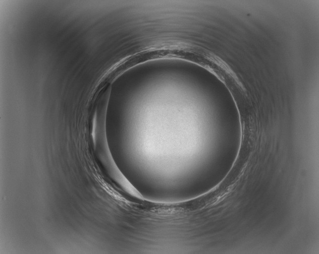 X0000083650826200702121148