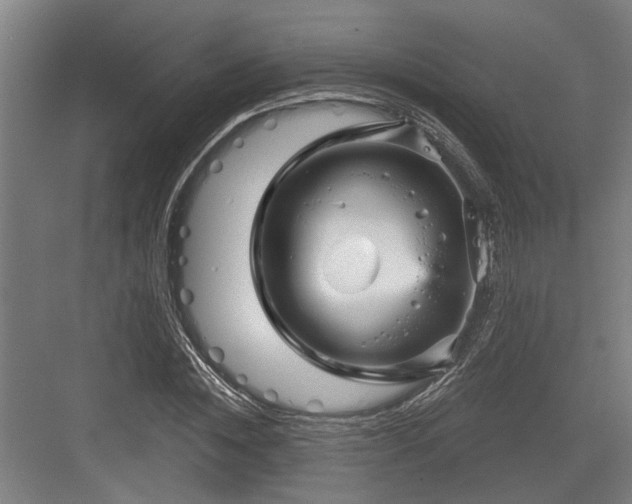 X0000083650828200702121148
