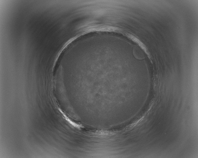 X0000083650829200702121148