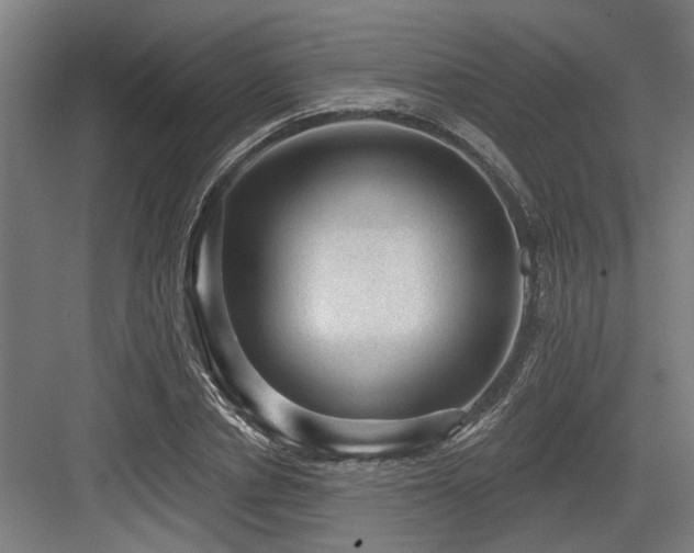 X0000083650834200702121148