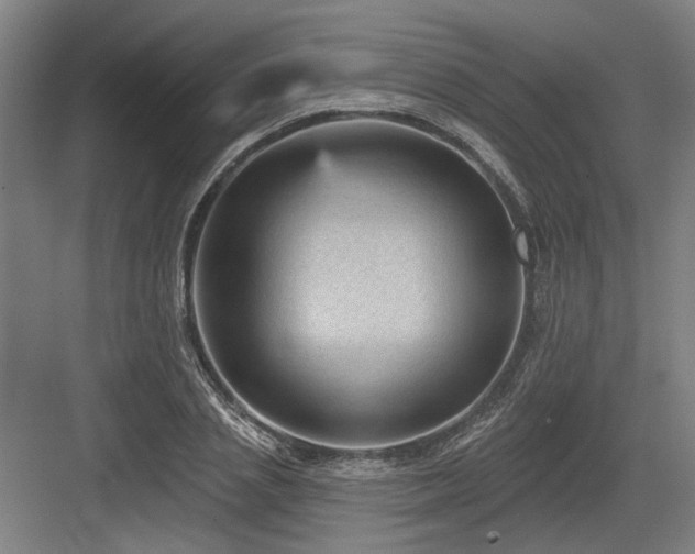X0000083650837200702121148