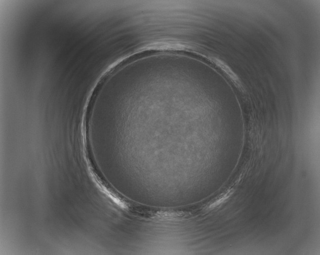 X0000083650840200702121148