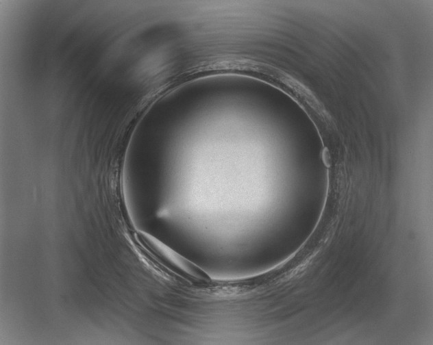 X0000083650841200702121148