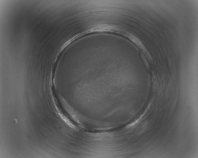 X0000083650842200702121148