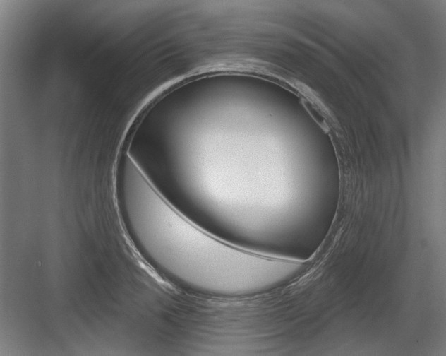 X0000083650846200702121148