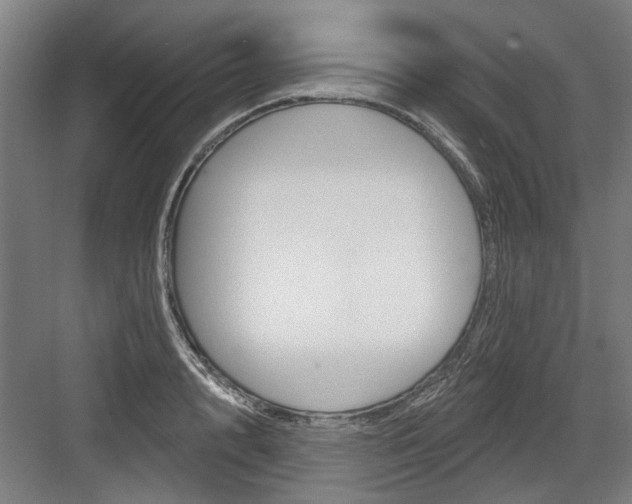 X0000083650848200702121148