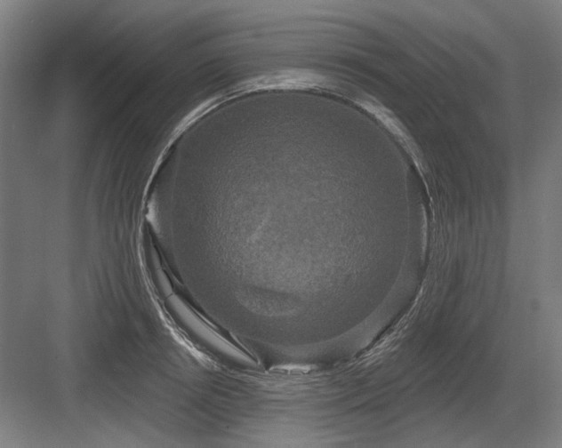 X0000083650850200702121148