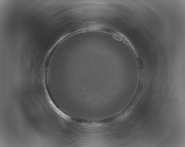 X0000083650851200702121148