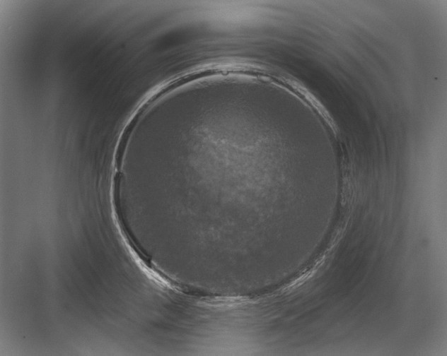 X0000083650853200702121148