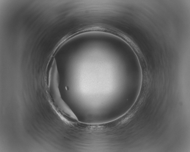X0000083650858200702121148