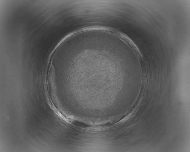X0000083650860200702121148