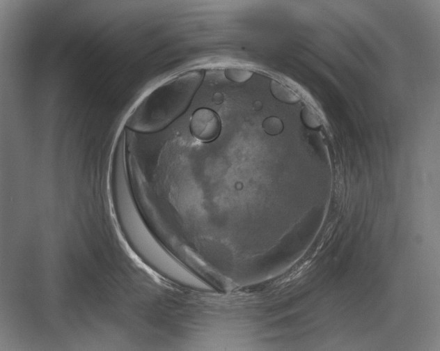 X0000083650863200702121148