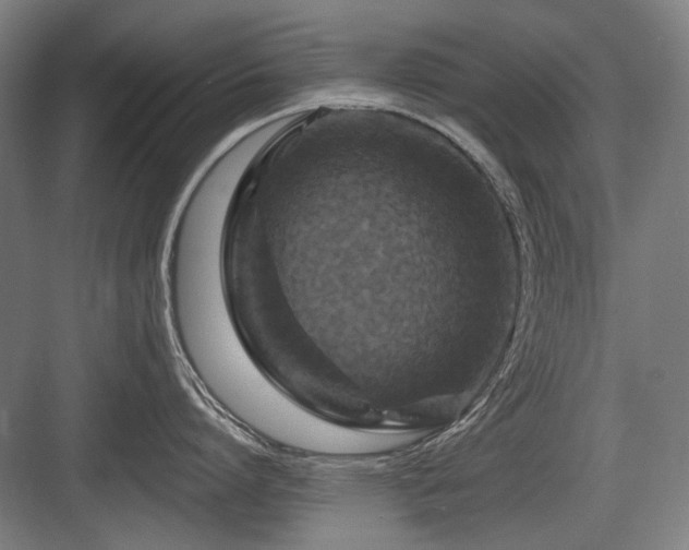 X0000083650864200702121148