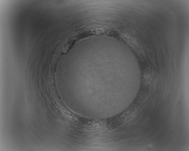 X0000083650865200702121147