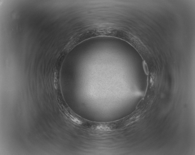 X0000083650867200702121147