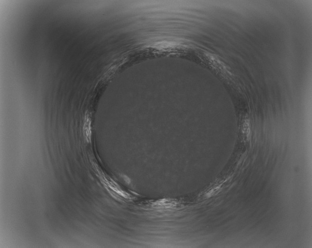 X0000083650868200702121147