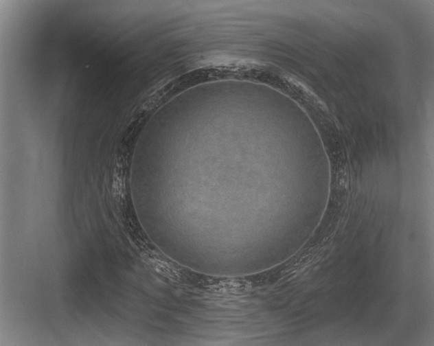 X0000083650869200702121147