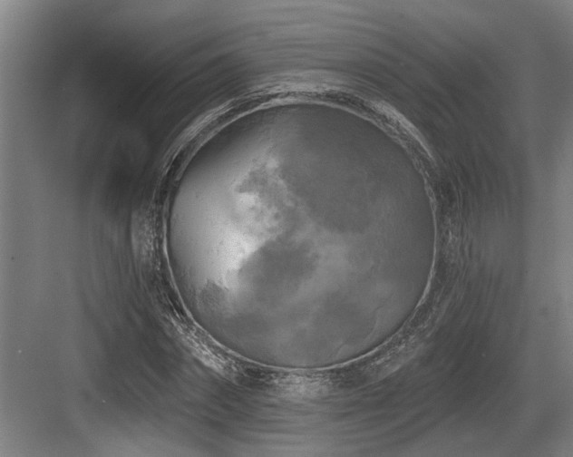 X0000083650874200702121147