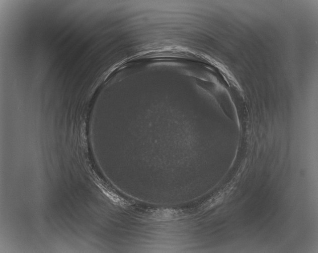 X0000083650881200702121147