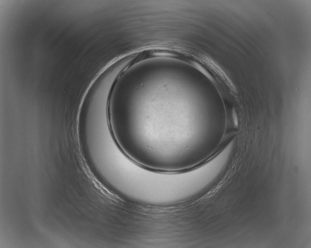 X0000083650884200702121147