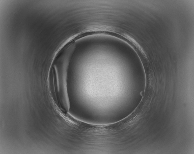 X0000083650885200702121147