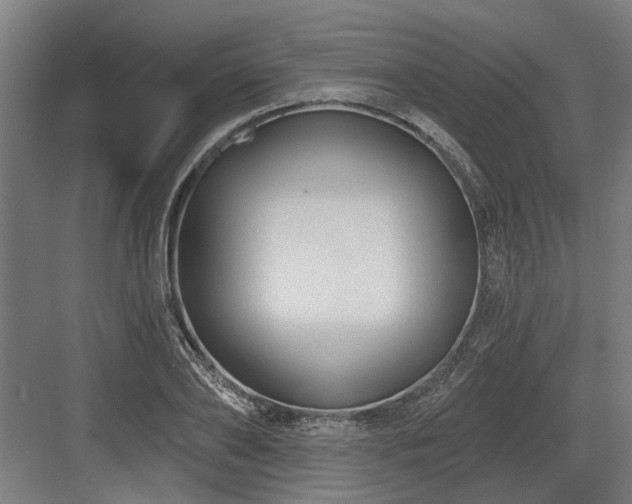 X0000083650886200702121147