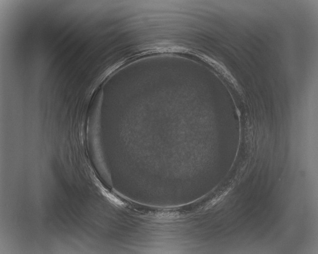 X0000083650889200702121147
