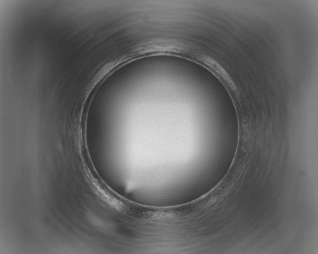 X0000083650890200702121147