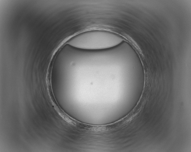 X0000083650893200702121147