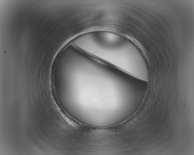 X0000083650894200702121147