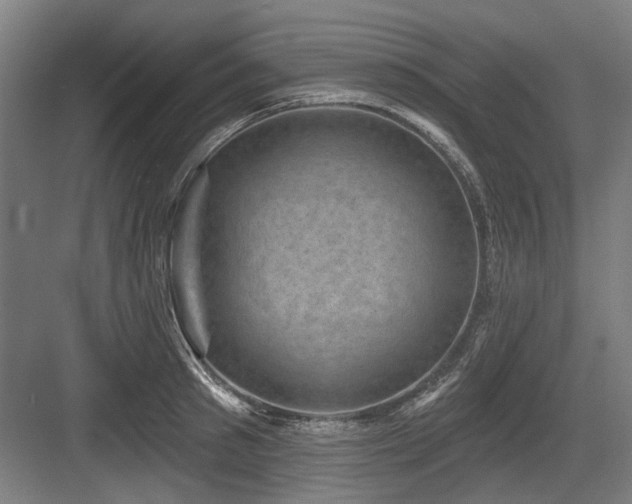 X0000083650897200702121147