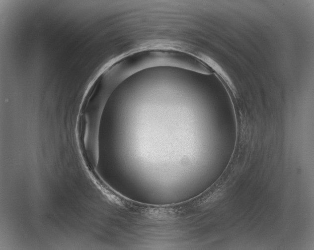 X0000083650901200702121147