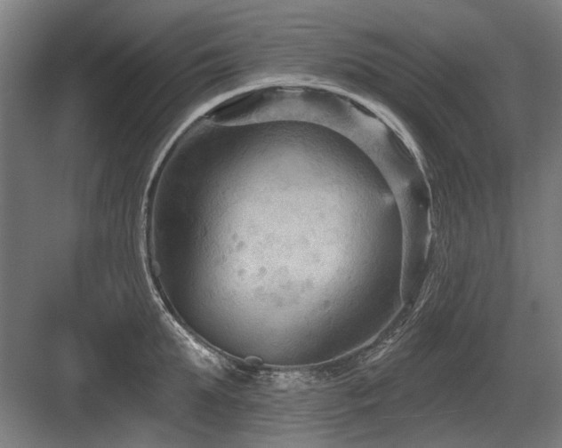 X0000083650903200702121147