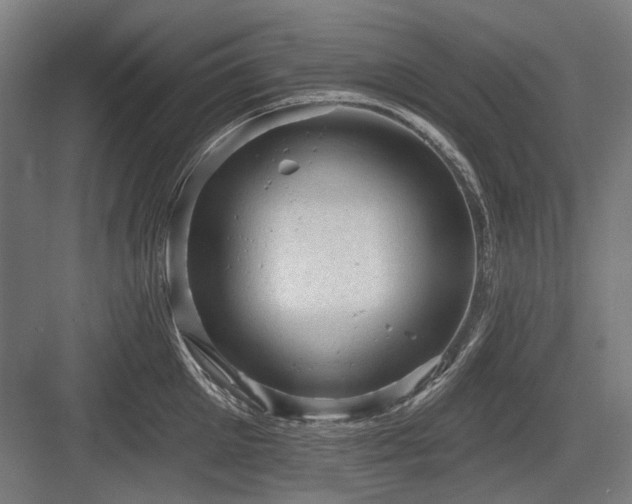 X0000083650905200702121147