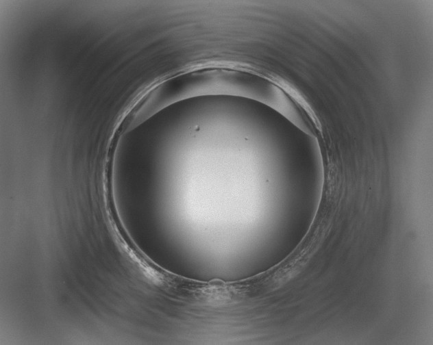 X0000083650906200702121147