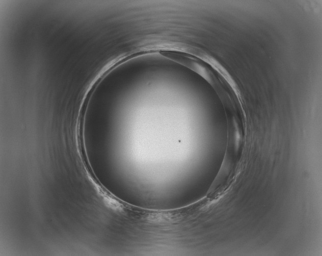 X0000083650909200702121147
