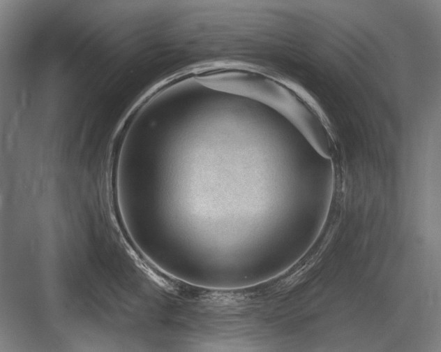 X0000083650910200702121147