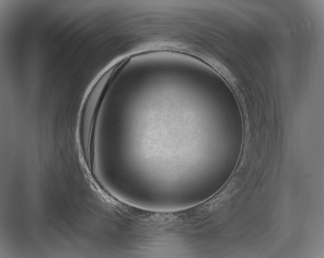X0000083650912200702121147
