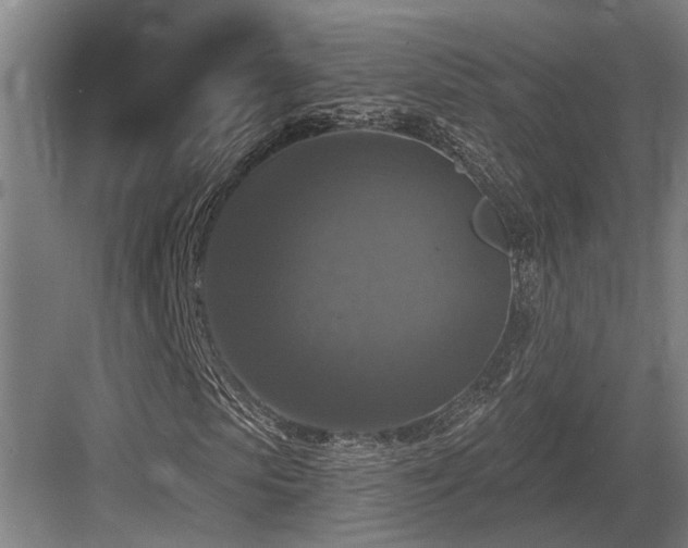 X0000083650913200702121146