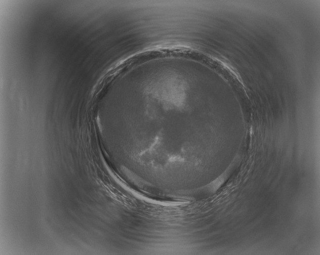 X0000083650920200702121146