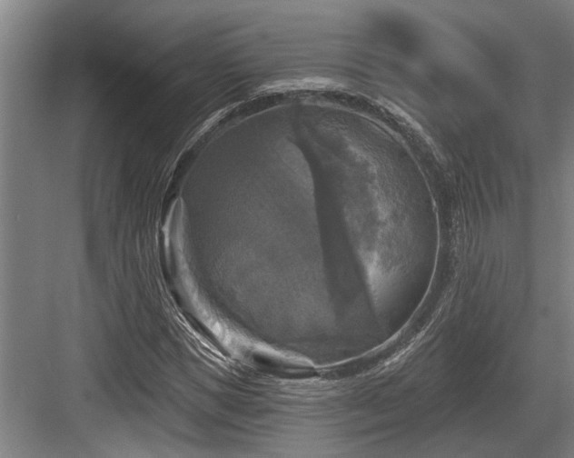 X0000083650921200702121146