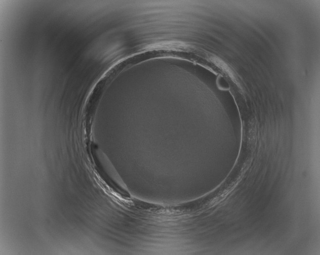 X0000083650923200702121146