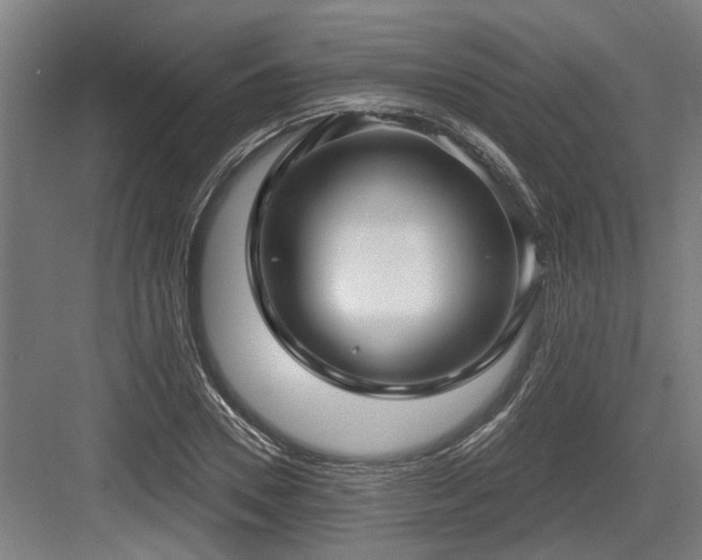 X0000083650930200702121146