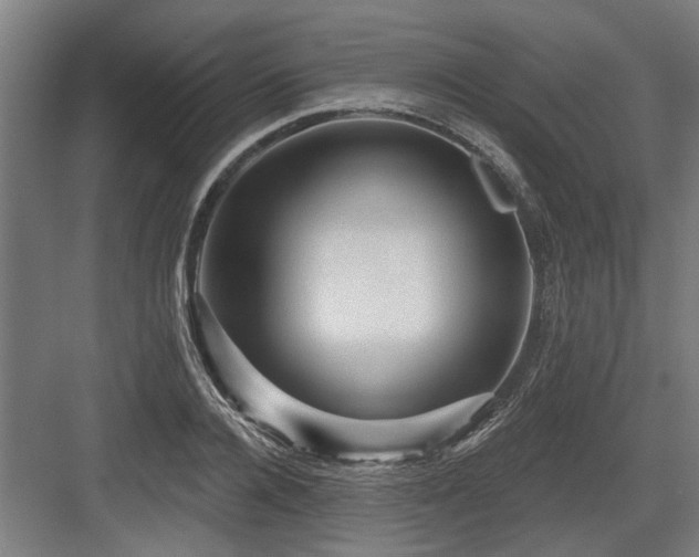 X0000083650936200702121146