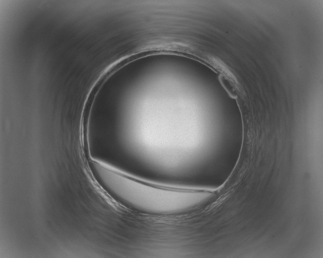 X0000083650940200702121146
