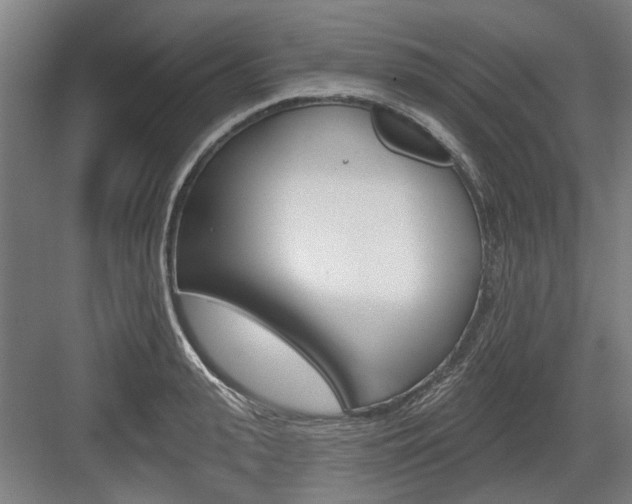 X0000083650943200702121146