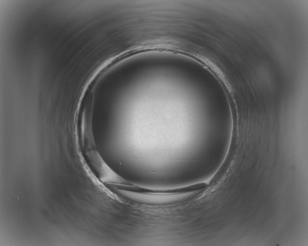 X0000083650949200702121146