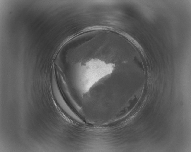 X0000083650953200702121146