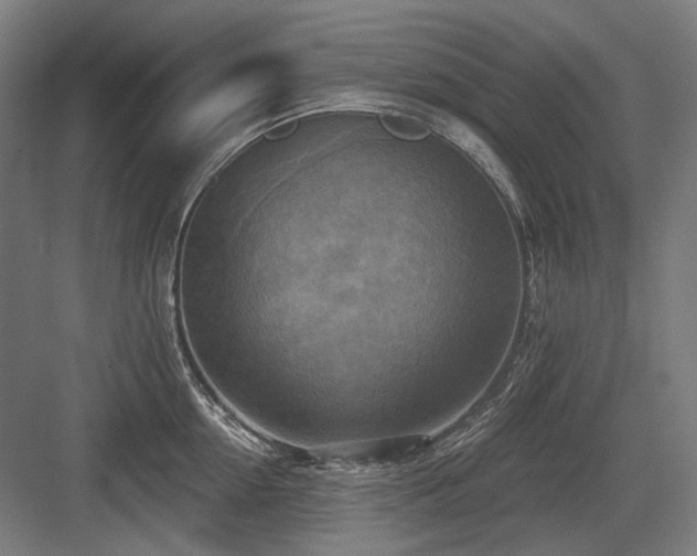 X0000083650954200702121146